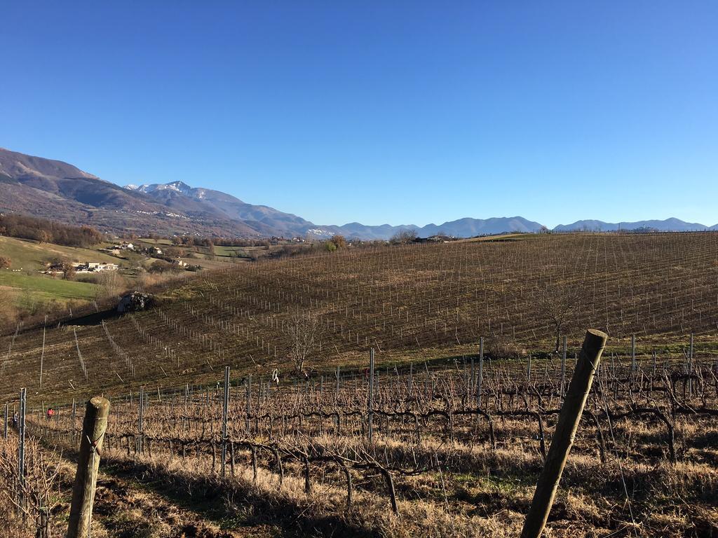 Agriturismo Di Charme Erbadoro Alvito Luaran gambar