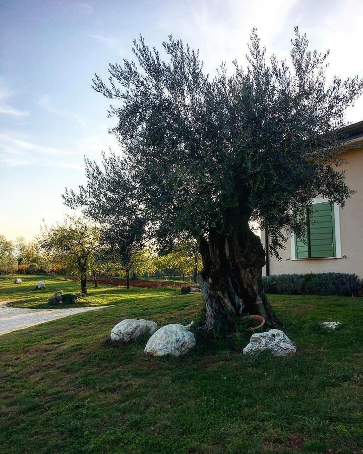 Agriturismo Di Charme Erbadoro Alvito Luaran gambar