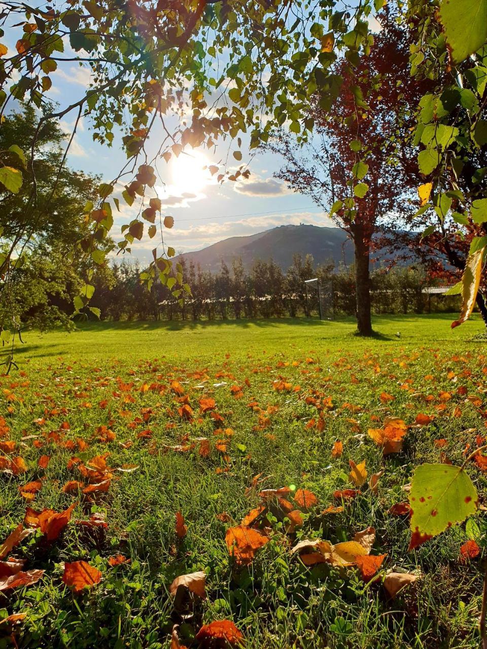 Agriturismo Di Charme Erbadoro Alvito Luaran gambar